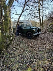 Dagens billede &copy; Copyright www.dlrk.dk