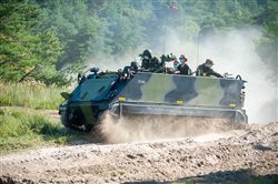 Dagens billede &copy; Copyright www.dlrk.dk