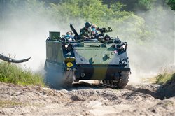 Dagens billede &copy; Copyright www.dlrk.dk